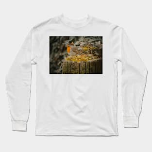 Small Bird with Orange Tummy Long Sleeve T-Shirt